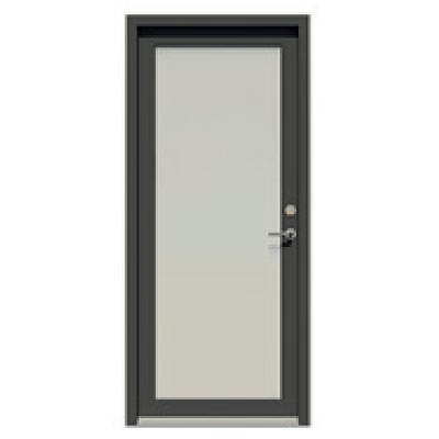 Entrance door - 1 glass pane